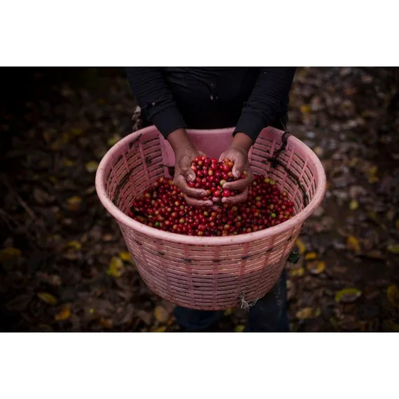 Hacienda Sonora, 250g